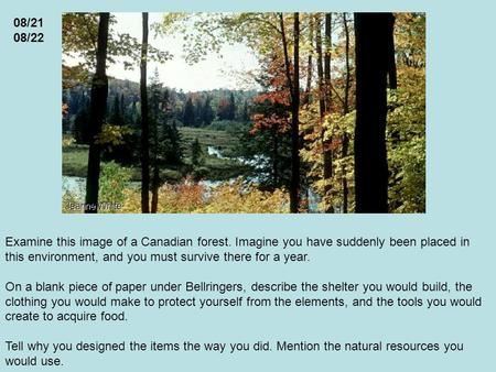 Examine this image of a Canadian forest. Imagine you have suddenly been placed in this environment, and you must survive there for a year. On a blank piece.