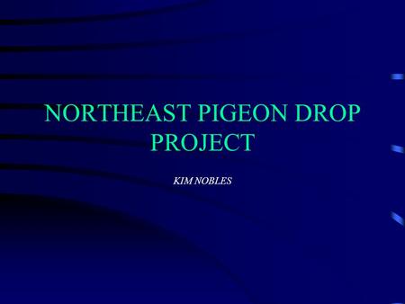 NORTHEAST PIGEON DROP PROJECT KIM NOBLES. AREAS OF INTEREST Statistical information in Edward Sector What has been tried before to deal with this issue?