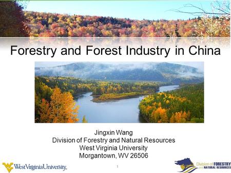 1 1 Wood Science and Technology Forestry and Forest Industry in China Jingxin Wang Division of Forestry and Natural Resources West Virginia University.