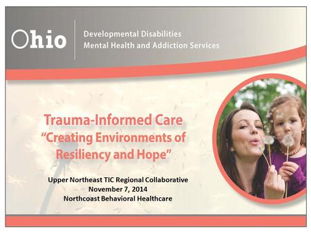 Upper Northeast TIC Regional Collaborative November 7, 2014 Northcoast Behavioral Healthcare.