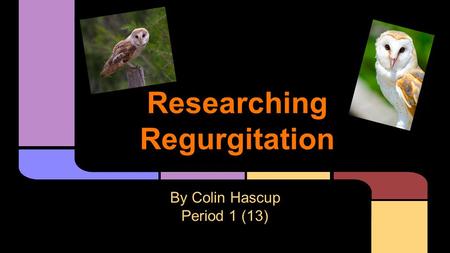 Researching Regurgitation By Colin Hascup Period 1 (13)