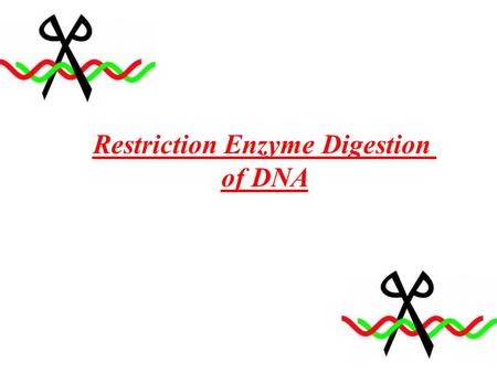 Restriction Enzyme Digestion of DNA. Experiment Goals Digestion of DNA by restriction enzyme Analyze digested DNA by electrophoresis.