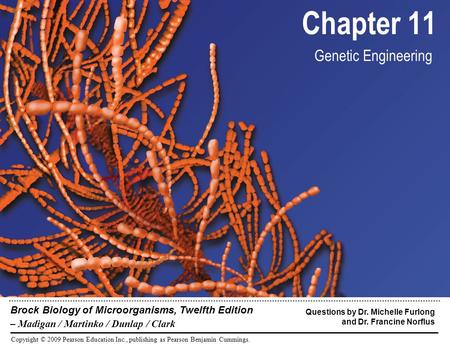 Copyright © 2009 Pearson Education Inc., publishing as Pearson Benjamin Cummings. Brock Biology of Microorganisms, Twelfth Edition – Madigan / Martinko.