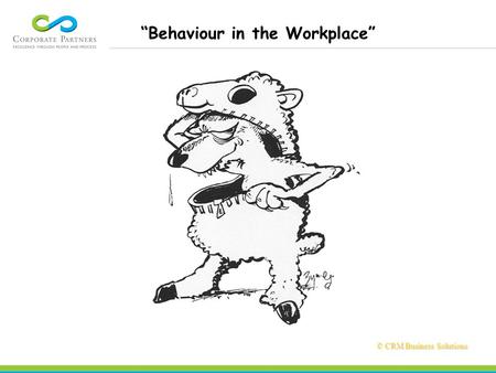 © CRM Business Solutions © CRM Business Solutions “Behaviour in the Workplace”