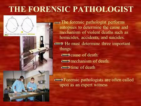 THE FORENSIC PATHOLOGIST The forensic pathologist performs autopsies to determine the cause and mechanism of violent deaths such as homicides, accidents,