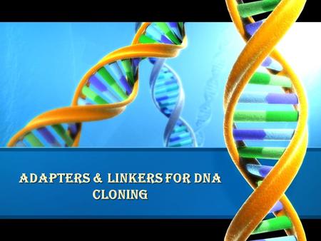 ADAPTERS & LINKERS for dna cloning