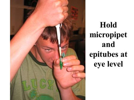 Hold micropipet and epitubes at eye level. Micropipet Use 1 Add disposable pipet tip 2 Press plunger to first stop 3 Insert pipet tip into solution to.