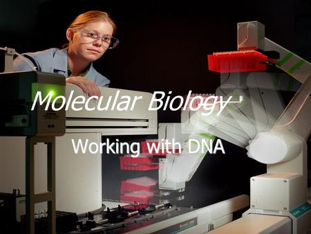 Molecular Biology Working with DNA. Topics  Genomic vs. Vector DNA  Purifying plasmid DNA  Restriction enzymes  Restriction maps.