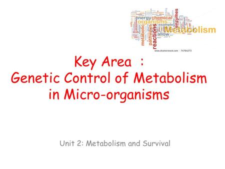 Key Area : Genetic Control of Metabolism in Micro-organisms Unit 2: Metabolism and Survival.