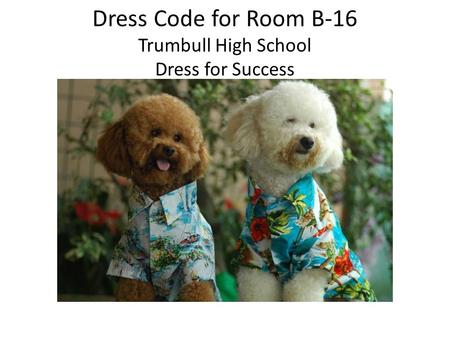 Dress Code for Room B-16 Trumbull High School Dress for Success.