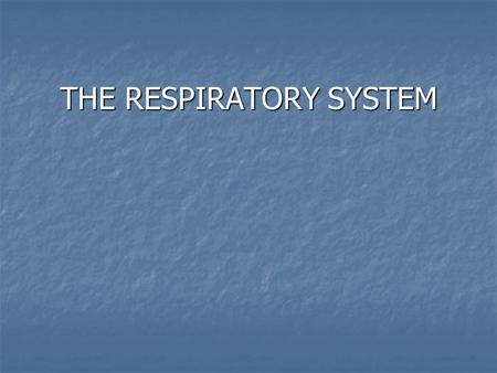 THE RESPIRATORY SYSTEM. RESPIRATION The exchange of gases between the atmosphere, lungs, blood, and tissues.