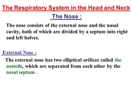 The Respiratory System in the Head and Neck