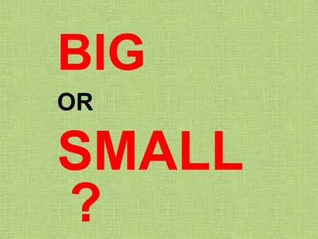 BIG OR SMALL?.