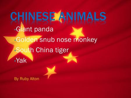 Giant panda Golden snub nose monkey South China tiger Yak By Ruby Alton.