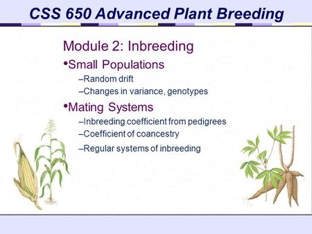 CSS 650 Advanced Plant Breeding Module 2: Inbreeding Small Populations –Random drift –Changes in variance, genotypes Mating Systems –Inbreeding coefficient.