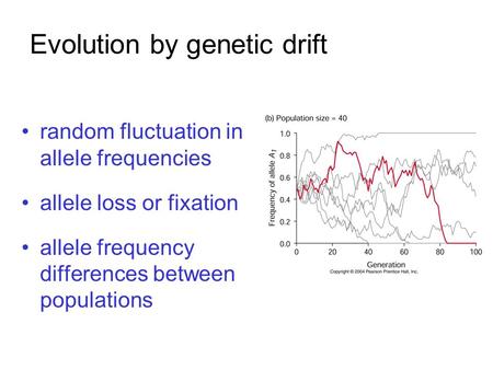 Evolution by genetic drift random fluctuation in allele frequencies allele loss or fixation allele frequency differences between populations.