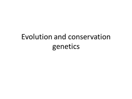 Evolution and conservation genetics. Neutral model of evolution What governs heterogyzosity levels? Neutral model of drift and mutation Single population.