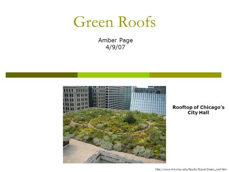 Green Roofs Amber Page 4/9/07 Rooftop of Chicago’s City Hall