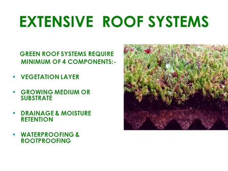 EXTENSIVE ROOF SYSTEMS