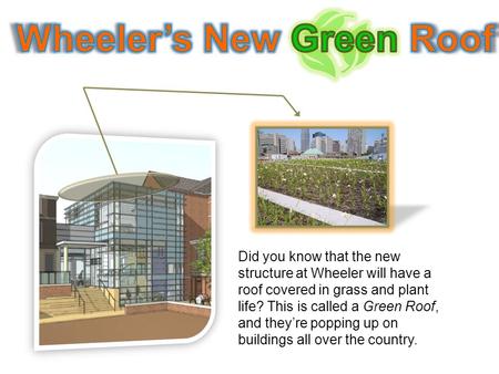 Did you know that the new structure at Wheeler will have a roof covered in grass and plant life? This is called a Green Roof, and they’re popping up on.