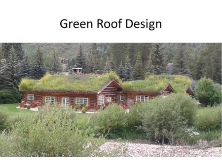 Green Roof Design. Main Lesson Objectives 1.Understand how the plants respond to the green roof environment – reduced depth of soil and sloped surface.