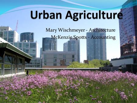 Mary Wischmeyer - Architecture McKenzie Spotts - Accounting.
