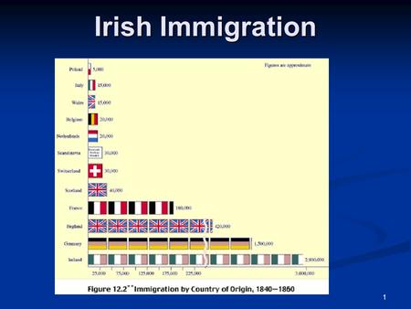 1 Irish Immigration. 2 The Potato Famine in Ireland By 1847, the potato famine had reached full strength and much of the population of Ireland was malnourished.