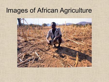 Images of African Agriculture. Its affects And failures.