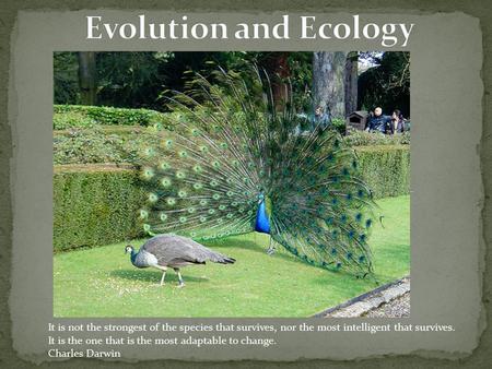 Evolution and Ecology It is not the strongest of the species that survives, nor the most intelligent that survives. It is the one that is the most adaptable.