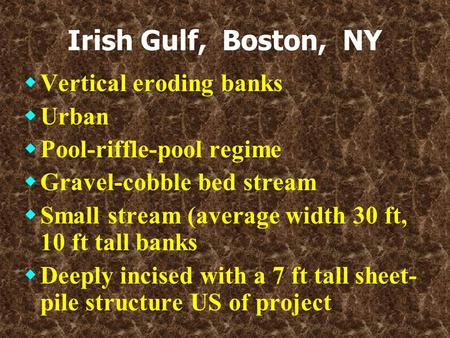 Irish Gulf, Boston, NY  Vertical eroding banks  Urban  Pool-riffle-pool regime  Gravel-cobble bed stream  Small stream (average width 30 ft, 10 ft.