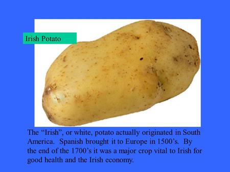 Irish Potato The “Irish”, or white, potato actually originated in South America. Spanish brought it to Europe in 1500’s. By the end of the 1700’s it was.