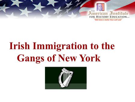 Irish Immigration to the Gangs of New York. What is an Ethnic Group?