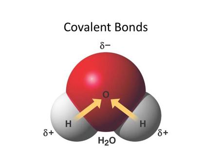 Covalent Bonds.  Octet Rule must be satisfied-reach noble gas state What of elements that meet and cannot completely transfer e-