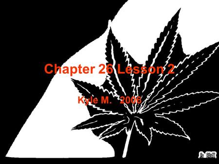 Chapter 26 Lesson 2 Kyle M. 2006 1. What do stimulants do? A. Slow down the body. B. Speed up the central nervous system. C. Makes you tired. D. None.