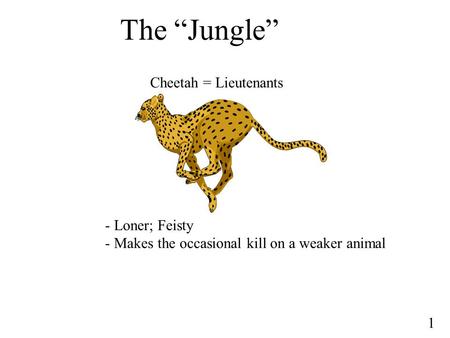 The “Jungle” Cheetah = Lieutenants - Loner; Feisty