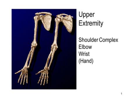 Upper Extremity Shoulder Complex Elbow Wrist (Hand) Shoulder.