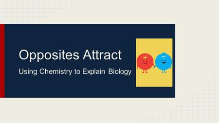 Opposites Attract Using Chemistry to Explain Biology.