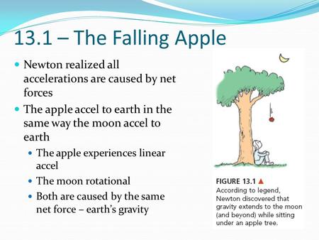 13.1 – The Falling Apple Newton realized all accelerations are caused by net forces The apple accel to earth in the same way the moon accel to earth The.