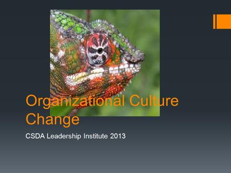 Organizational Culture Change CSDA Leadership Institute 2013.