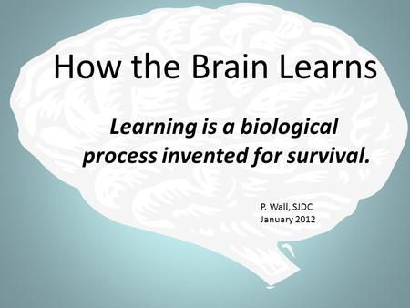 How the Brain Learns Learning is a biological process invented for survival. P. Wall, SJDC January 2012.