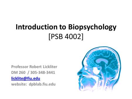 Introduction to Biopsychology [PSB 4002] Professor Robert Lickliter DM 260 / 305-348-3441 website: dpblab.fiu.edu.
