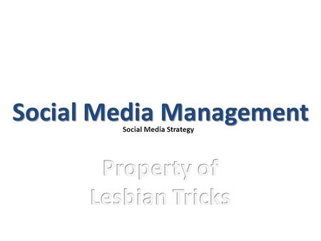 Social Media Management Social Media Strategy. Land page we want our audience to land on Blogs Provides credibility for social media accounts High ranking.