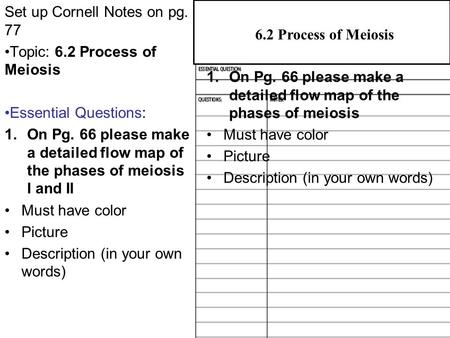Set up Cornell Notes on pg. 77 Topic: 6.2 Process of Meiosis