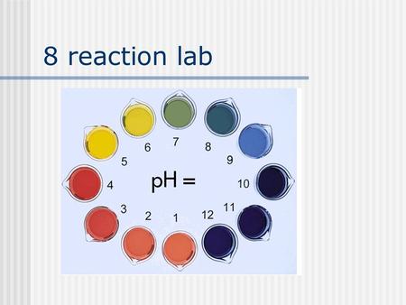 8 reaction lab.