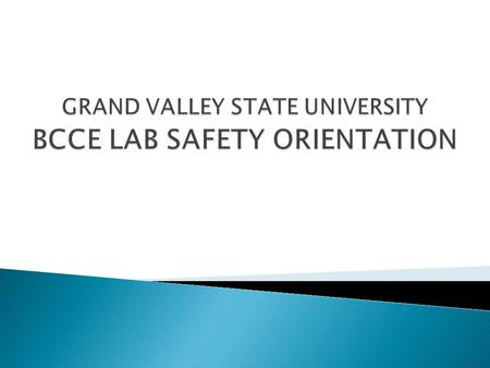  An orientation to GVSU’s lab facilities.  A description of GVSU’s health and safety program.  Procedures for gaining access to your workshop supplies.