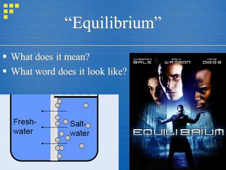 “Equilibrium”  What does it mean?  What word does it look like?  What does it mean?  What word does it look like?