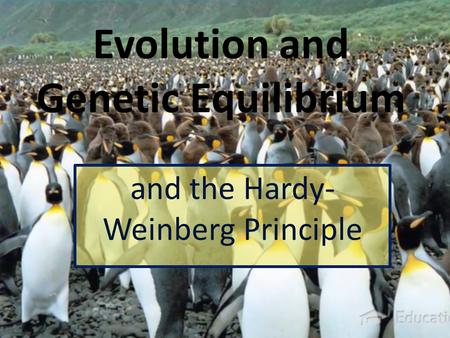 Evolution and Genetic Equilibrium