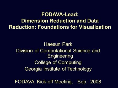 FODAVA-Lead: Dimension Reduction and Data Reduction: Foundations for Visualization Haesun Park Division of Computational Science and Engineering College.