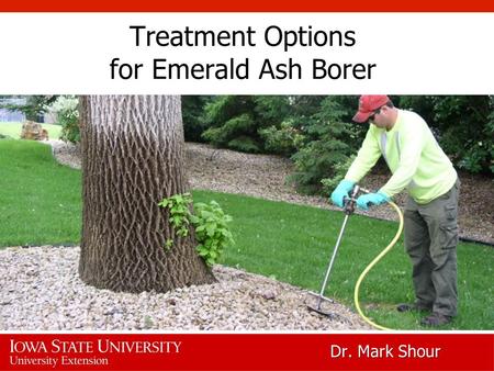 Treatment Options for Emerald Ash Borer Dr. Mark Shour.