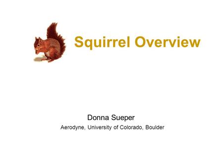 Squirrel Overview Donna Sueper Aerodyne, University of Colorado, Boulder.